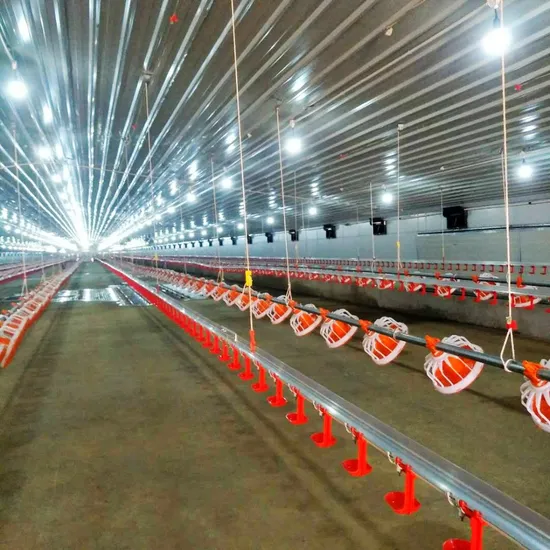 Good Animal Husbandry Automatic Chicken Feeding Line Chicken Feeder Poultry Breeding Equipment