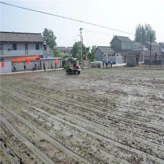 Top Technology Hydraulic Steering Type High Speed Riding Type Diesel Rice Transplanter