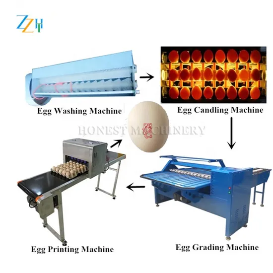 Large Capacity Grading Machine / Egg Grader / Egg Printer for Sale