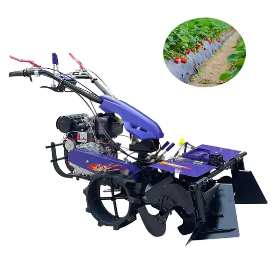 Agricultural Strawberry Bed Ridger Agricultural Rotary Seat Parts Machine