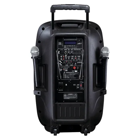 Portable Trolley Speaker Box 15" 2-Way with VHF Wireless Microphones & Rechargeable Battery