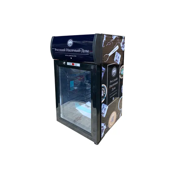 Factory Price 42L Commercial Mini Bar Beer Beverages Mini Fridge Sc-42L