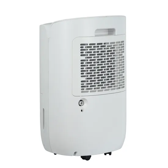 Water Removale Timing Porable Dehumidifier