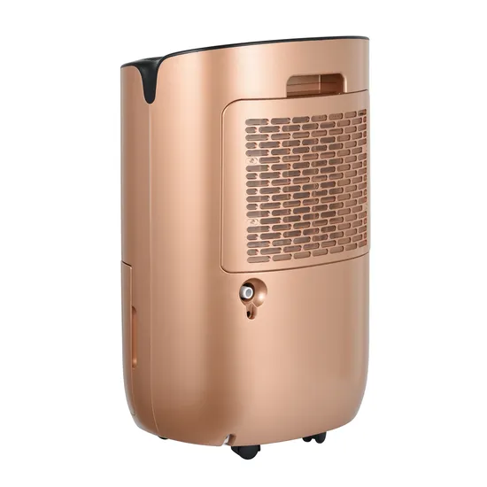 Timing Automatical 10L Small Size Household Dehumidifier