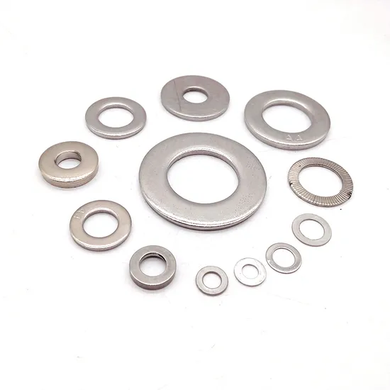 Carbons Steel HDG Structure Spring Round Lock Washers