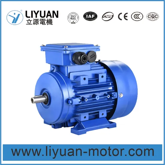 Ie1 Ie2 Ie3 Ms Series 0.5HP 1HP 1.5HP 2HP 3HP 4HP 5HP 7.5HP 10HP Three 3 Phase AC Induction Asynchronous Electric Motor