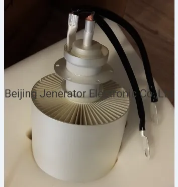 High-Performance Hf Valve Itl5-1 Electron Tube for Dielectric Heating Solutions