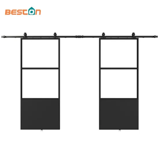 Double Kick Helder 210X100mm Metal Frame Glass Doors with Barn Door Hardware