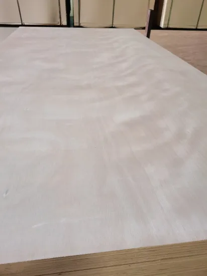 Factory 9mm/18mm/25mm Furniture Grade Poplar-Core Laminated Wood Timber Bintangor/Birch/Sapele/Okoume Veneer Commercial Plywood Board