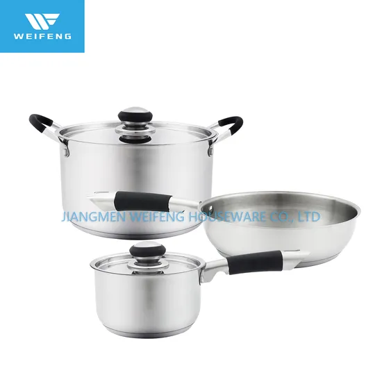 5PCS Black Silicone Ss Handle Stainless Steel Cookware Set with S/S Lid