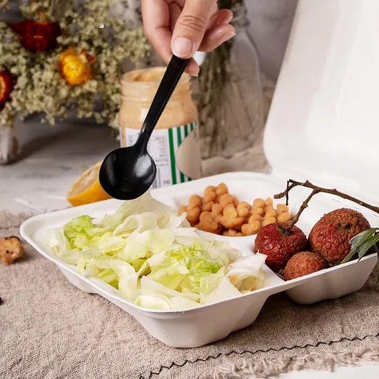 Wholesale Take Away Compostable 3 Compartment Disposable Sugarcane Bagasse Pulp Biodegradable Food Packaging for Catering
