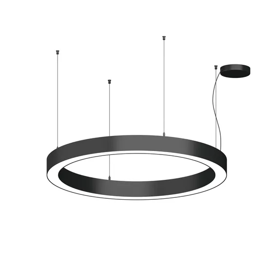 Hollow Ring Chandelier Light Circle LED Pendant Light with Customized Services