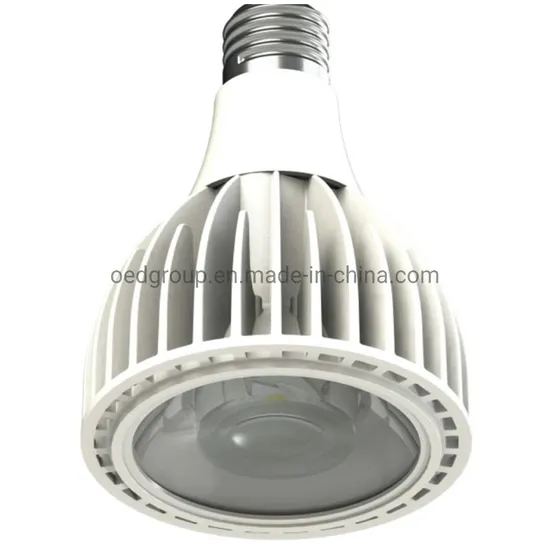 Indoor Garden Plant Growing Light Aluminum AC100-240V E26 E27 COB LED Grow Bulb Full Spectrum 25W LED Grow Light Kit