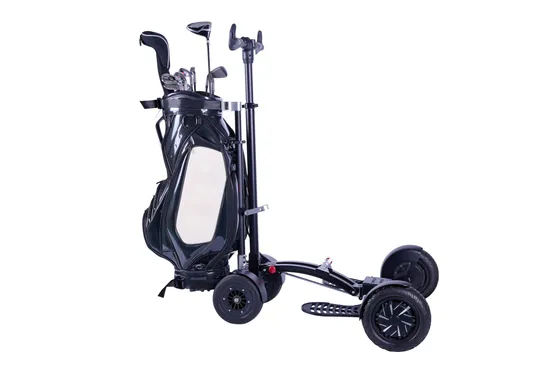 2025 New Model Folding Electric Trolley Scooter Remote Control Golf Buggy