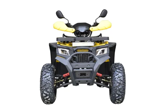 200cc 4 Stroke Gas Powered Kids Buggy ATV Quad Bike Cuatrimoto