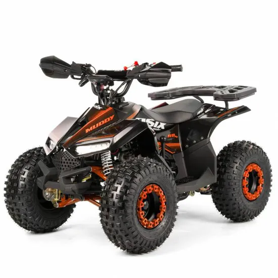 Tao Motor 2024 New Mini Quad Bike for Kids 110cc ATV