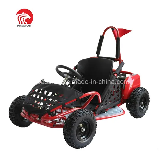 High Quality Electric Power Brushless 1000W Kid Dune Buggy