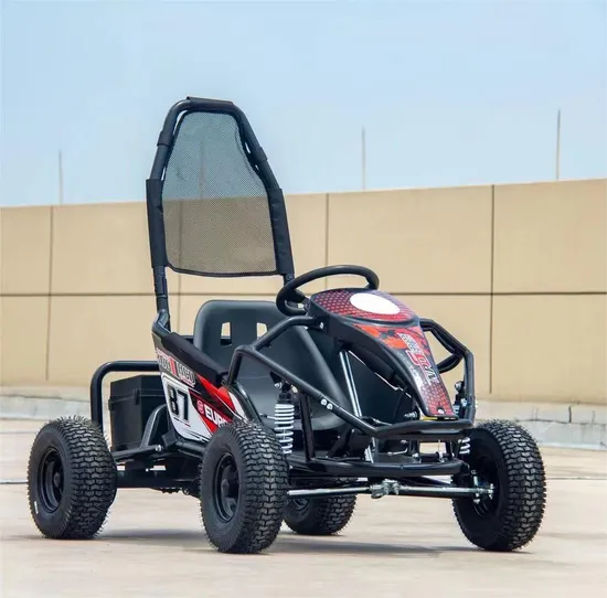 Popular Entertainment CE Certificate Chain Drive Adult Professional Gas Powered Electric Racing Go Kart