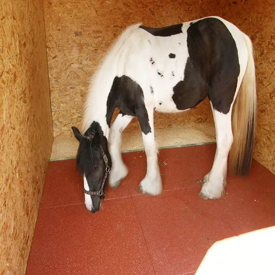 Outdoor Floor 1mx1m Horse Stable Rubber Flooring Tiles