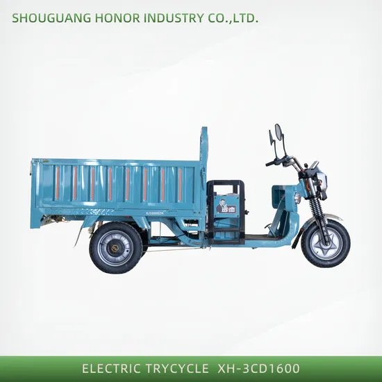 Chinese Hot Sale High Quality 1000W Cargo 3 Wheel Electric Tricycle