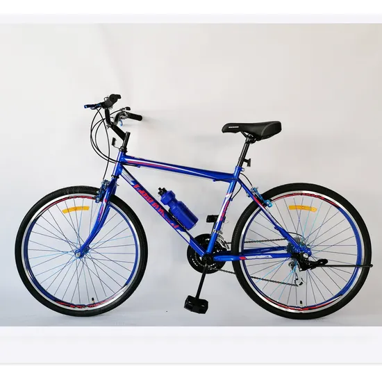 Discount Mountain Bicycle Low Price Steel MTB Bike