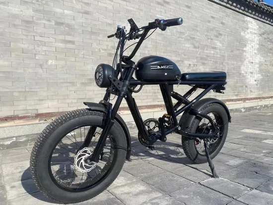 China 350W, 500W, 1500W Cheap, Latest, City, Mini Best Adults Electric Folding Fat Tyre Bicycle, Motor, Urban, Mountain Bike Supplier
