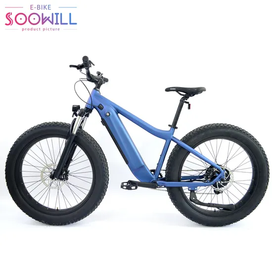 Customized Color 6061 Aluminium Alloy Lithium Battery Electric Bike