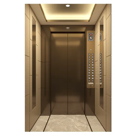China Supplier FUJI Cheap 6-12 Person Passenger Elevator with CE Certification