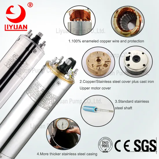 3 Inch, 4 Inch, 6 Inch, . 8 Inch Submersible Pump Motor with Control Box