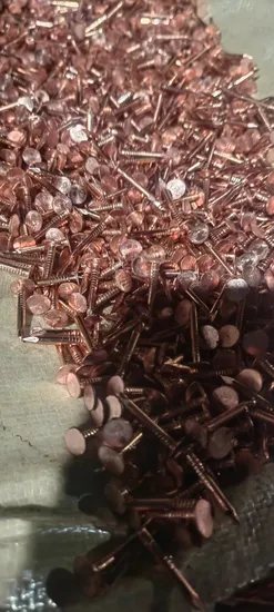 1 Inch Copper Nails Roofing - Big Head Clout Nails