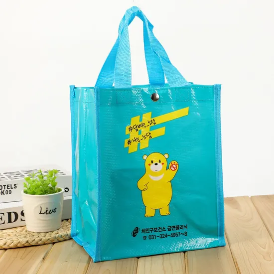 Reusable Foldable Non Woven Fabric Shopping Bags