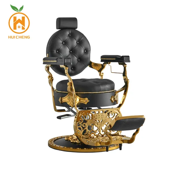 Salon Equipment Hair Styling Chairs Barber Chair with Factory Prices Bc8829 B