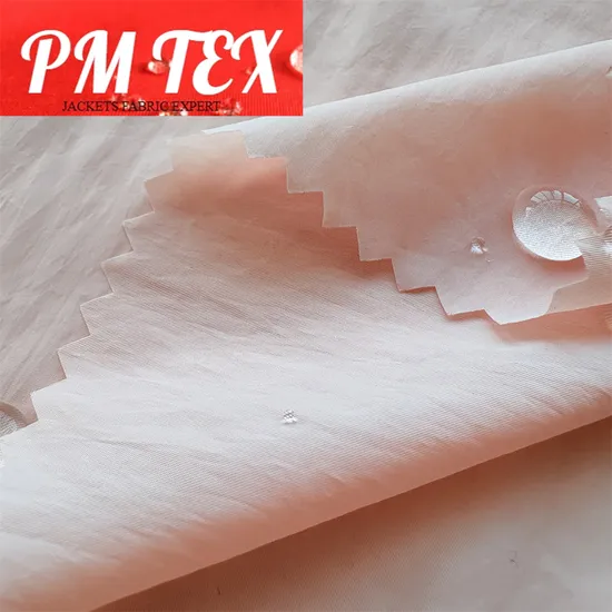 Crinkle Lightweight 100% Nylon Twill Woven Fabric for Garment/Outdoor Gear