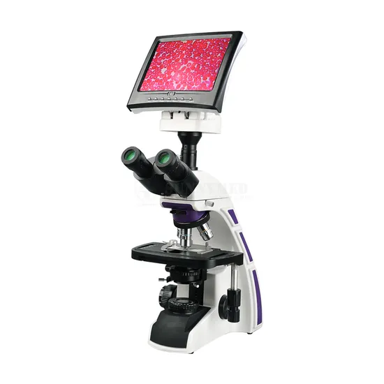 Sy-B129t Professional Binocular LCD Display Digital Medical Video Microscope for Lab Clinic Hospital