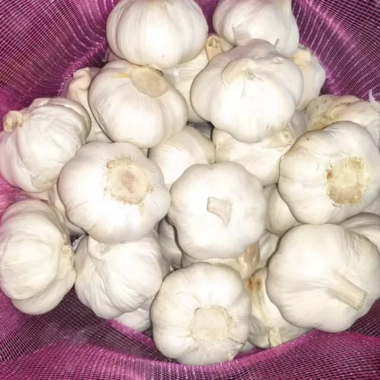 Fresh New Crop Chinese Wholesale White Garlic for Export in Low Price
