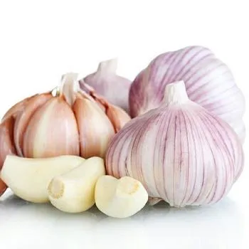 Fresh New Crop Chinese Wholesale in Low Price for Export Garlic