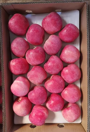 Chinese Fresh Fruits Red Honey FUJI Apples