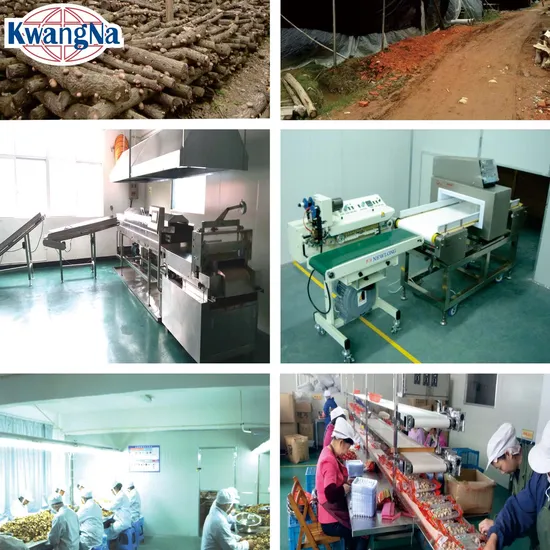 Wholesale White Fungus with 1kg and 3kg Bag Packing