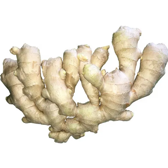 Air Dried Ginger 250g 13.6kg PVC Box High Quality Ginger Supplier