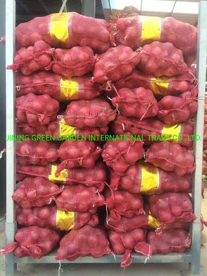 Fresh Onion, China Origin Fresh Red Onion, Yellow Onion, Top Quality, Cheap Price, 4-7cm of Onion Bulb, Pack in Mesh Bag or Carton, New Crop, Health Vegetable,