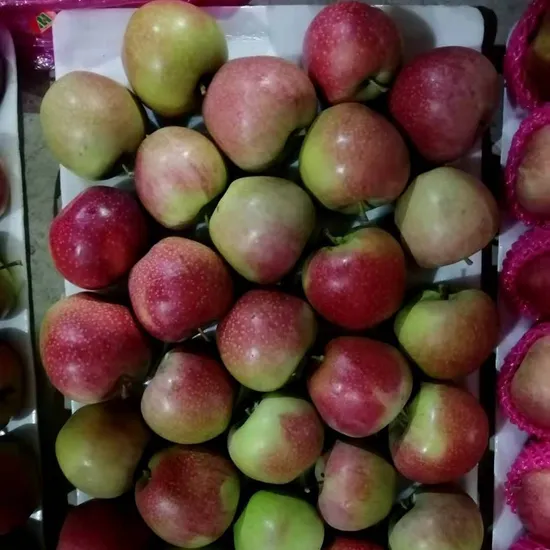 New Crop Fresh Red Qinguan From Coldstore