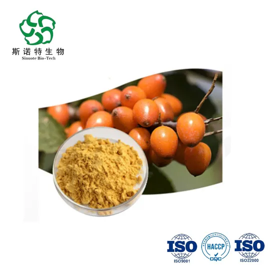 100% Natural High Quality Organic Sea Buckthorn Juice Powder