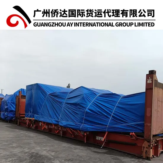 Guangdong Open Top Container Sea Shipping Service to Brazil Argentina Chile Peru Colombia Venezuela Ecuador Bolivia Guyana Suriname Paraguay Uruguay