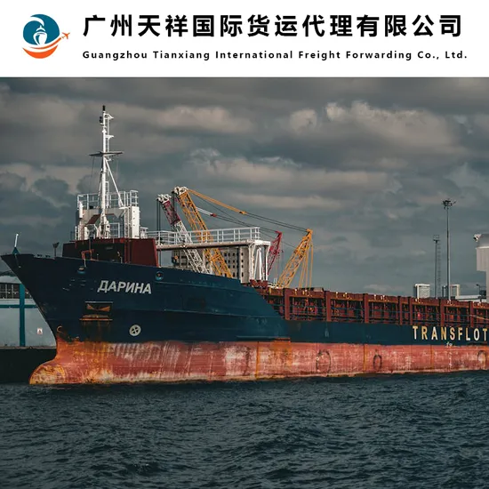 Fast FCL LCL Sea Shipping Agent Freight Forwarder From China to Russia, Belarus, Sourcing Agent/Purchasing Agent