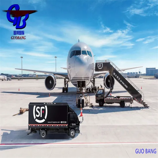 Professional Shipping Service From China to Europe by DHL/FedEx/UPS/TNT