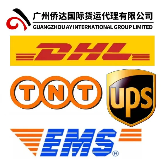 DHL Express International Shipping From China to Brazil Courier for Brzail Soccer Jersey