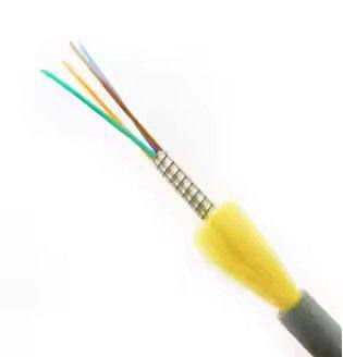 2-12 Cores Single mode SM G657A Tight Buffered Cables TPU PUR Jacket armored Outdoor Cable