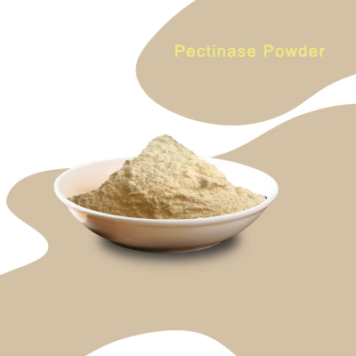High Activity 30,000 U/g Pectinase Powder Enzyme Preparation Food Additive for Efficient Juice Clarification