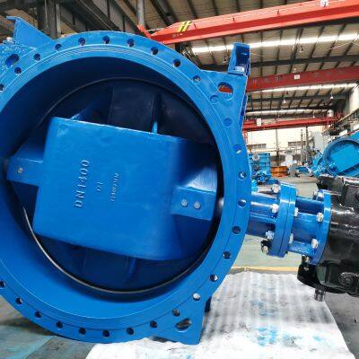 double eccentric butterfly valve
